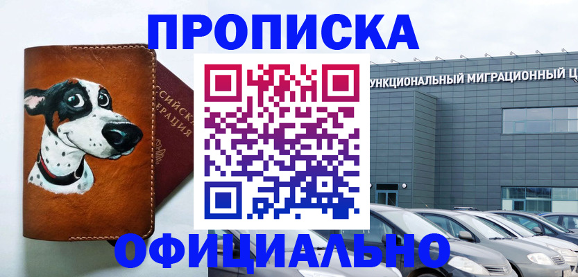 временная прописка в Щёлкино